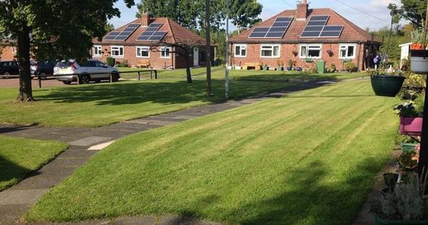 Freshly mowed lawn in front of houses