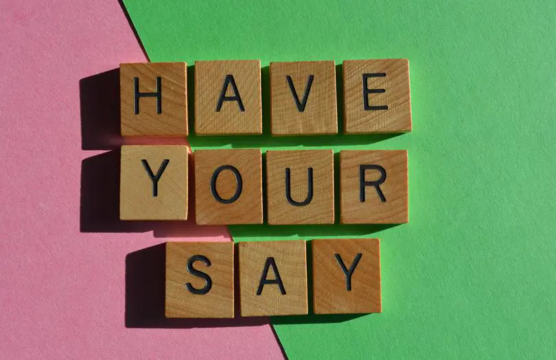 Have Your Say as block letters on a pink and green background