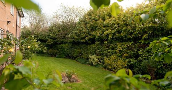 View of Birch Court building from back garden