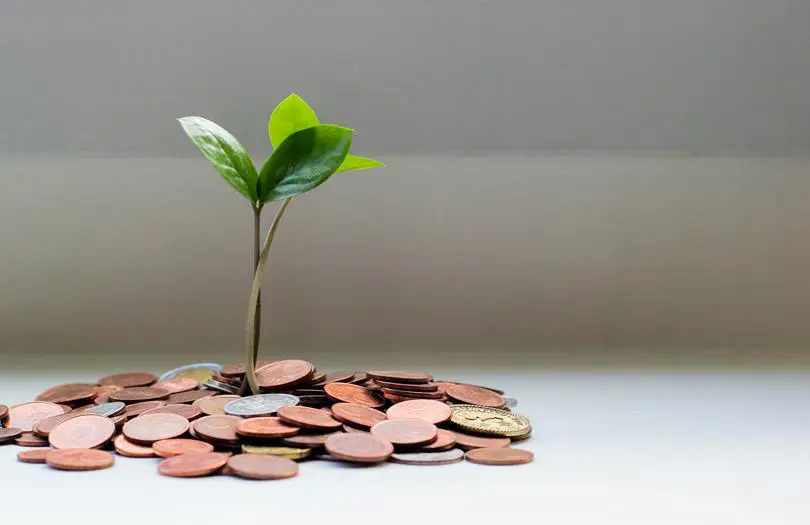 A green plant sprouting our of coins on a windowsill 