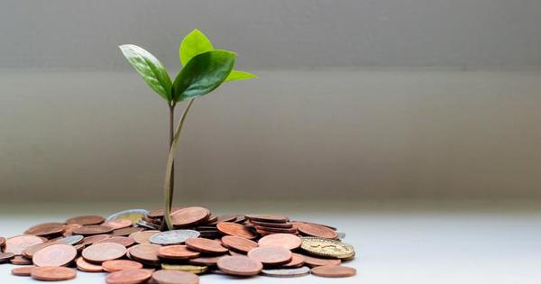A green plant sprouting our of coins on a windowsill 