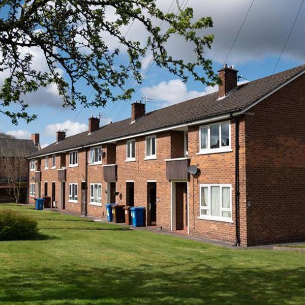 row of houses with flats inside from garden view