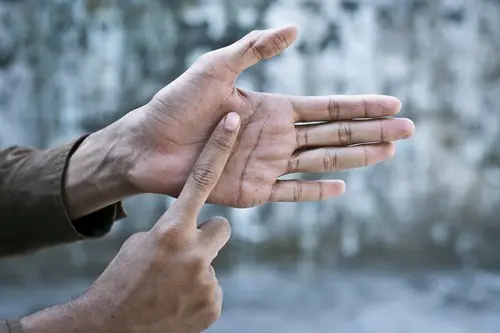 hands showing BSL signs