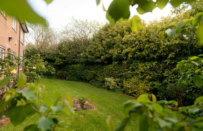 View of Birch Court building from back garden