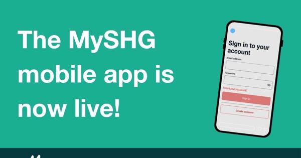 Myshg Websitepost Template (2)