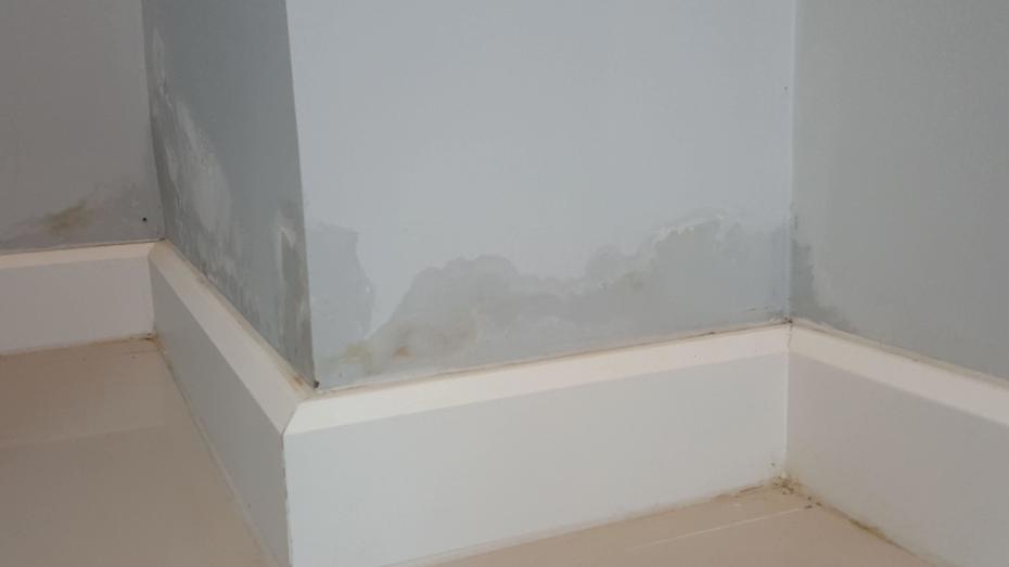 Rising Damp