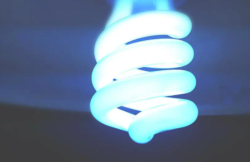 blue lightbulb