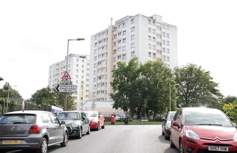 ground view of cars and large trees before two white tower blocks