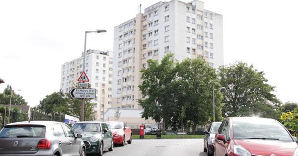 ground view of cars and large trees before two white tower blocks