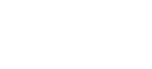 Disability Confident Employer Logo White
