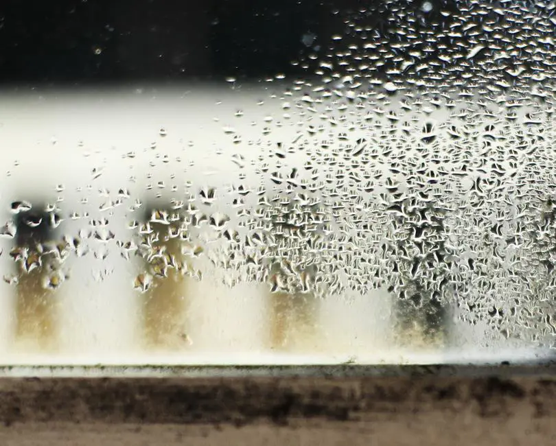 condensation on a window 