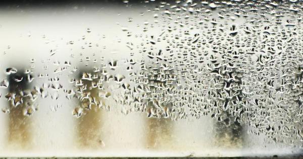 condensation on a window 