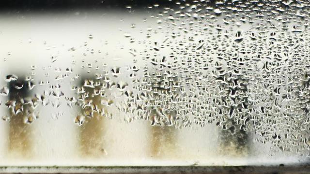 condensation on a window 