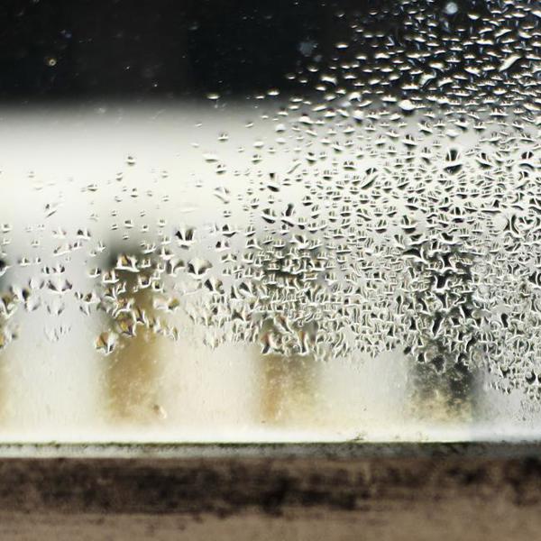 condensation on a window 