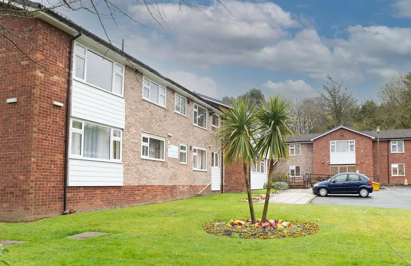 View of houses from garden with tree in the middle of lawn