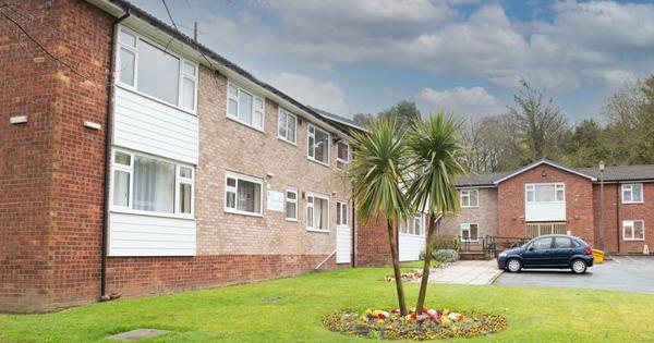 View of houses from garden with tree in the middle of lawn