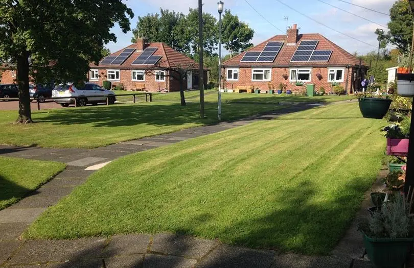 Freshly mowed lawn in front of houses