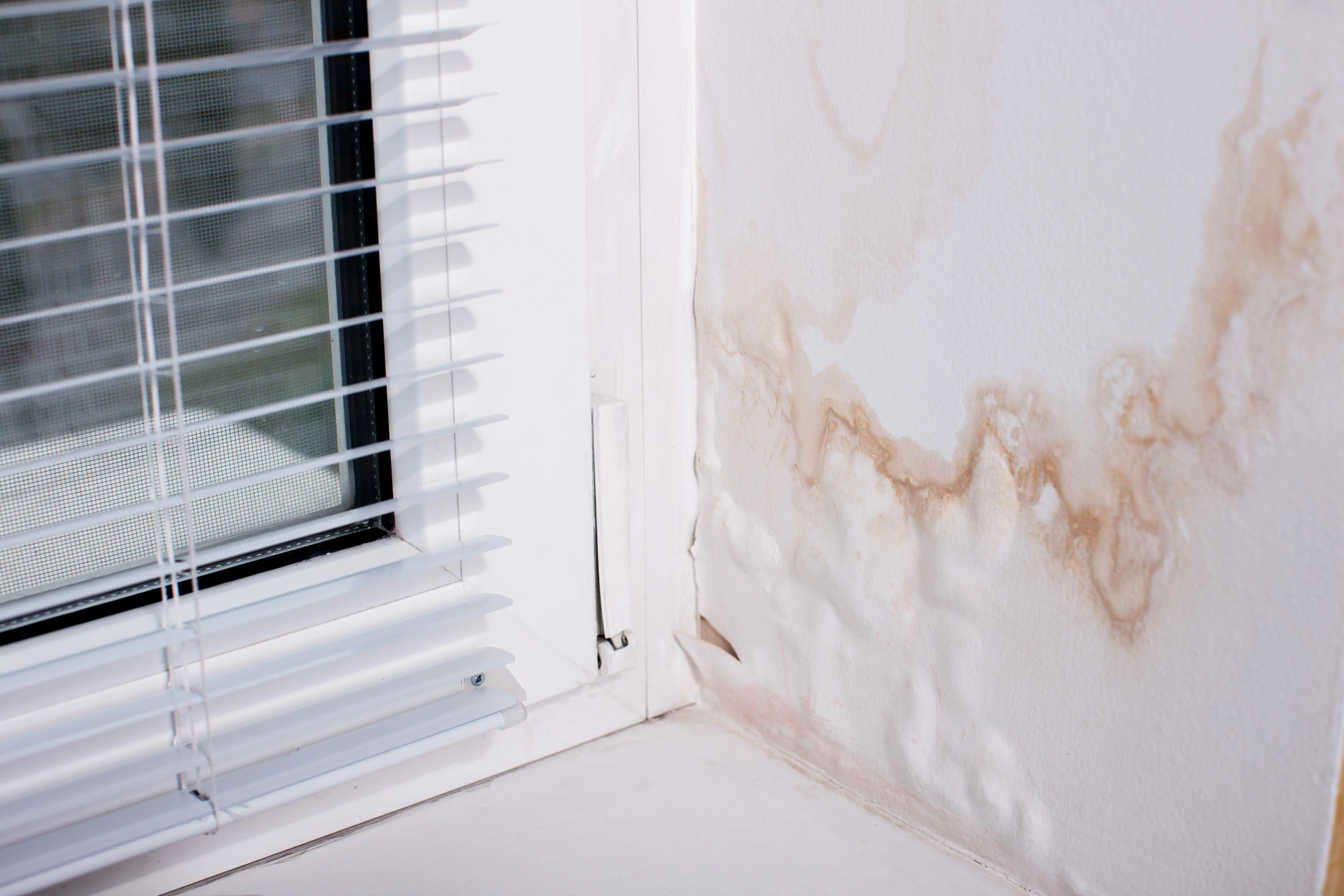 Penetrating Damp