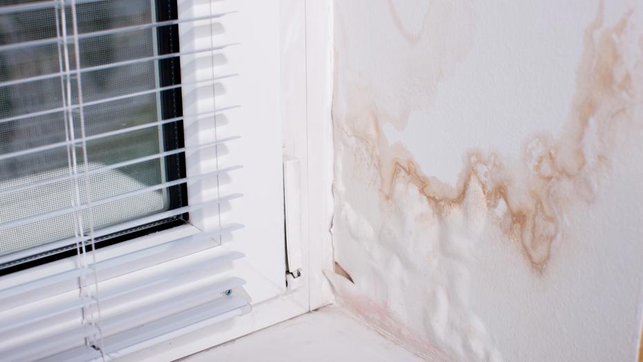 Penetrating Damp