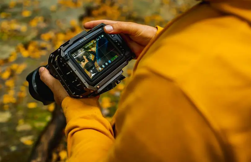 Person looking at Digital Camera from behind 