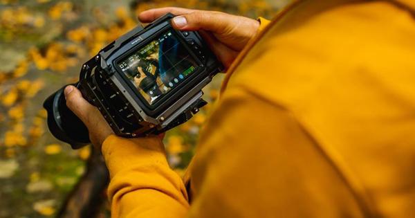 Person looking at Digital Camera from behind 
