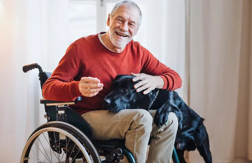 Older Man In Wheelchair With Dog