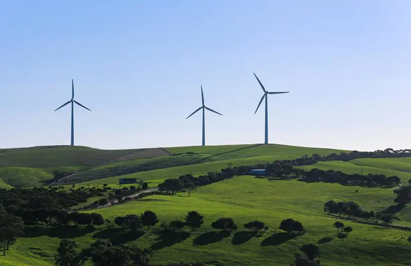 windmill farm