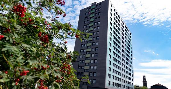 mottram Tower block from below wish tree in foreground
