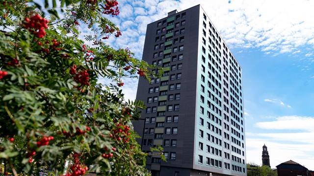 mottram Tower block from below wish tree in foreground
