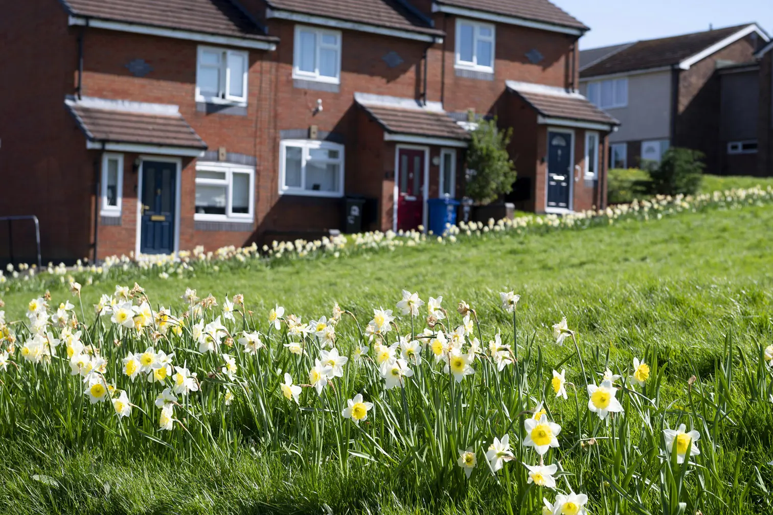 Offerton Flowers