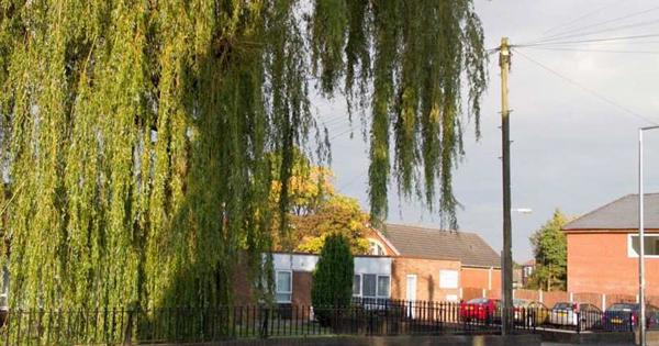 View of Wimborne Close from outside